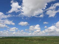 空姐面試的程序